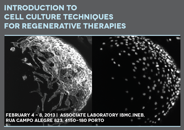 Introduction to Cell Culture Techniques for Regenerative Therapies  